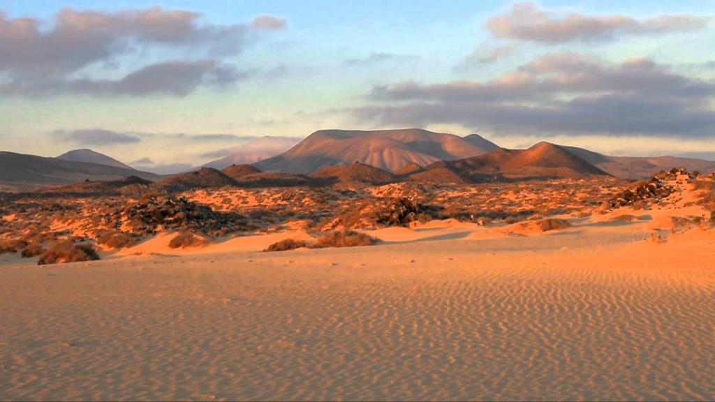 Greentree House Otel Corralejo Dış mekan fotoğraf