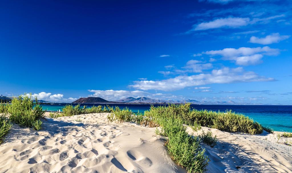 Greentree House Otel Corralejo Dış mekan fotoğraf